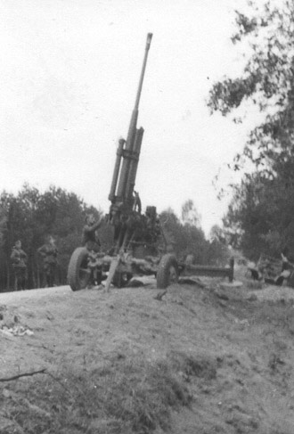 The 85mm M.1939 deployed in an anti-aircraft role