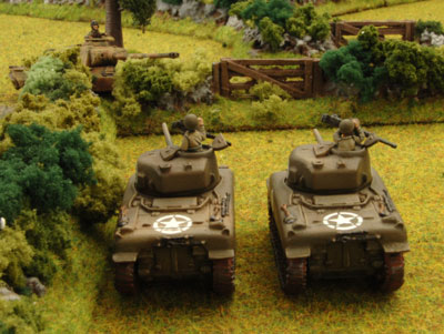 Flank shots on Barkmann's Panther